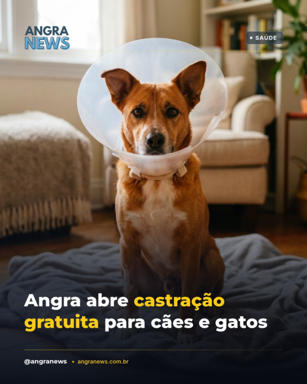 Angra abre castração gratuita para cães e gatos