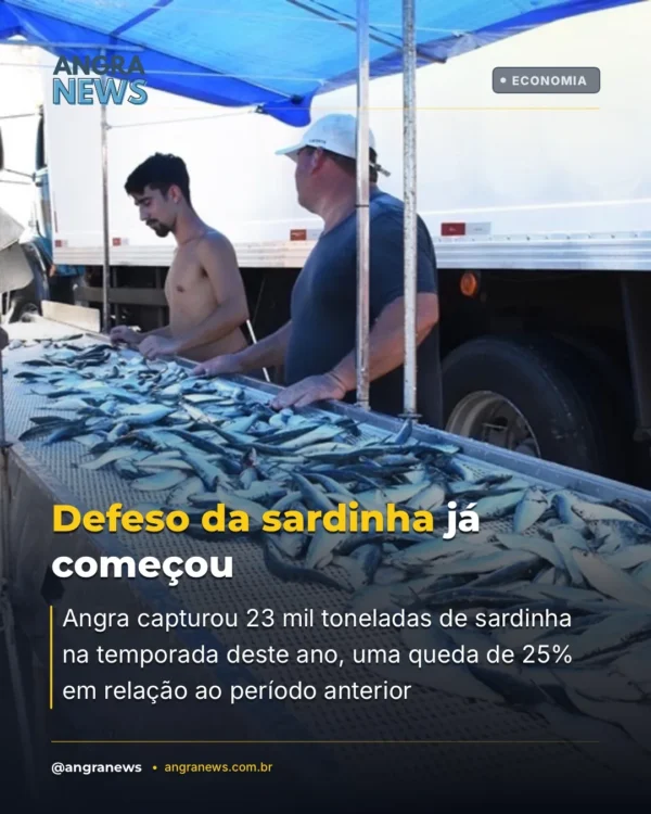 Defeso da sardinha já começou