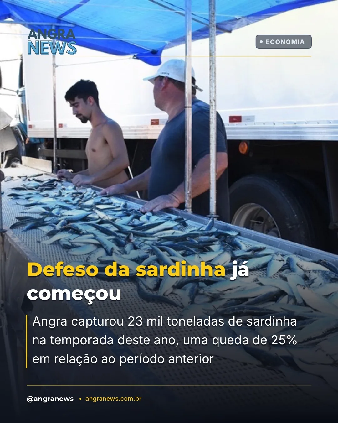 Defeso da sardinha já começou