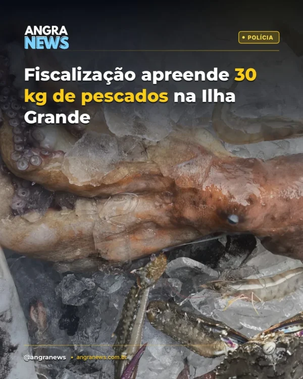 Fiscalização apreende 30 kg de pescados na Ilha Grande