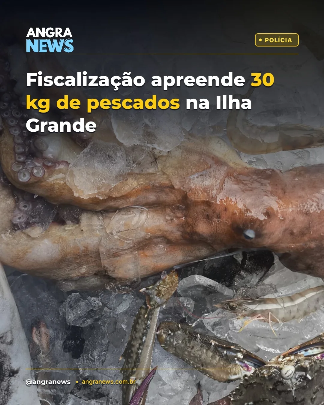 Fiscalização apreende 30 kg de pescados na Ilha Grande