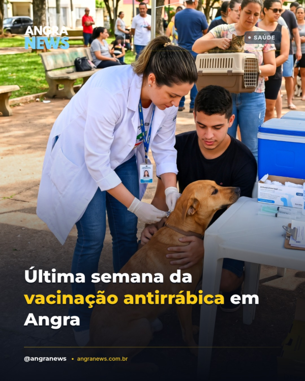 Última semana da vacinação antirrábica em Angra